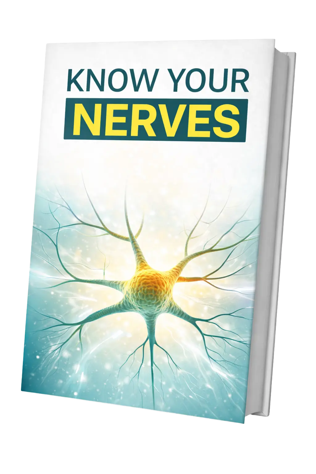 Bonus 2 - Know Your Nerves ebook included with NerveCell 6-bottle order